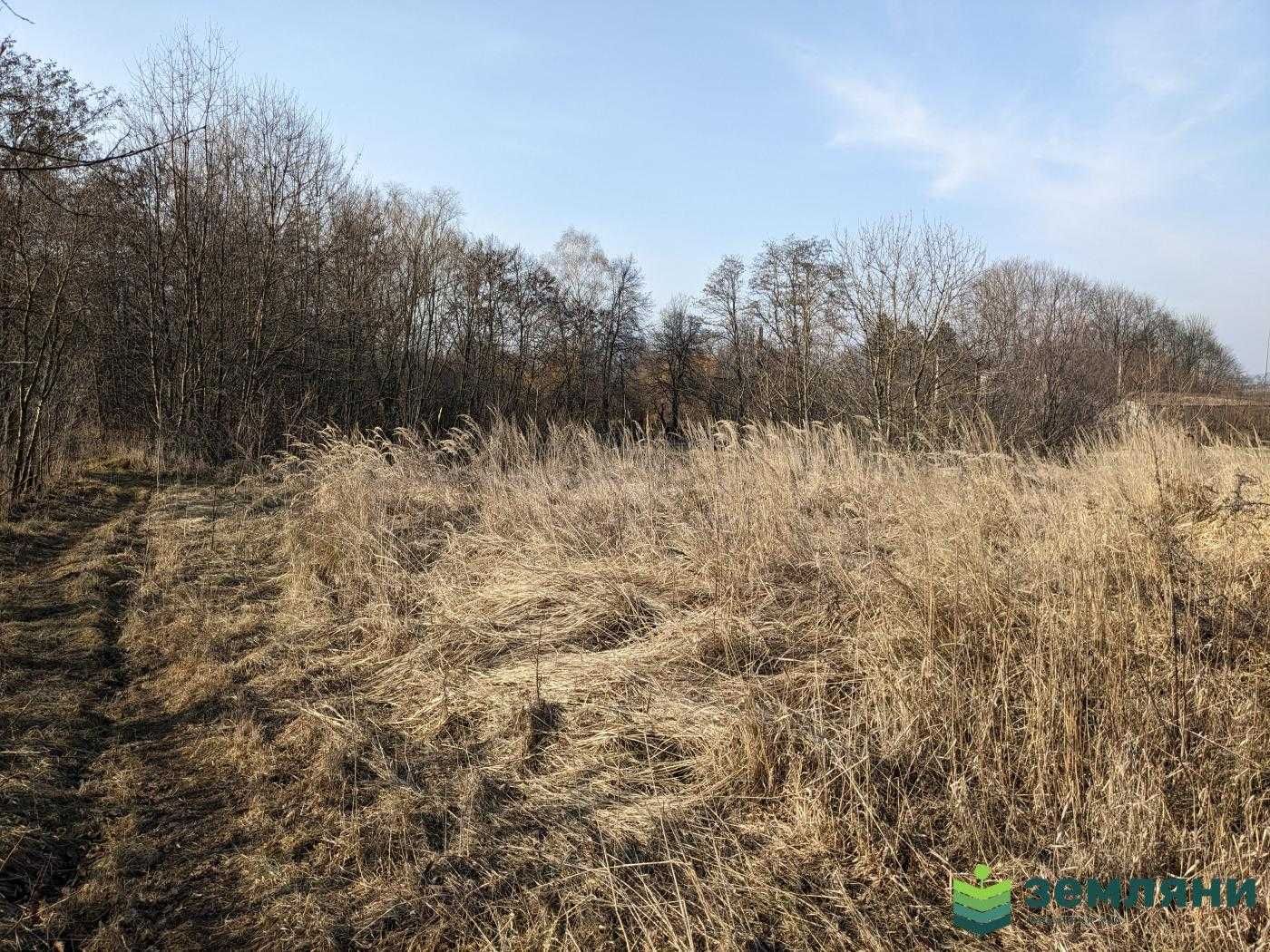 Продаж землі площа 20 сот, під будівництво в м.Тисмениця