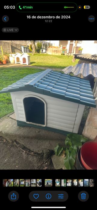 Casota para cães grandes / nova