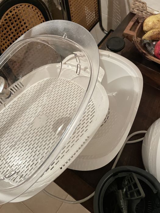 Yammi 3 dentro da garatina