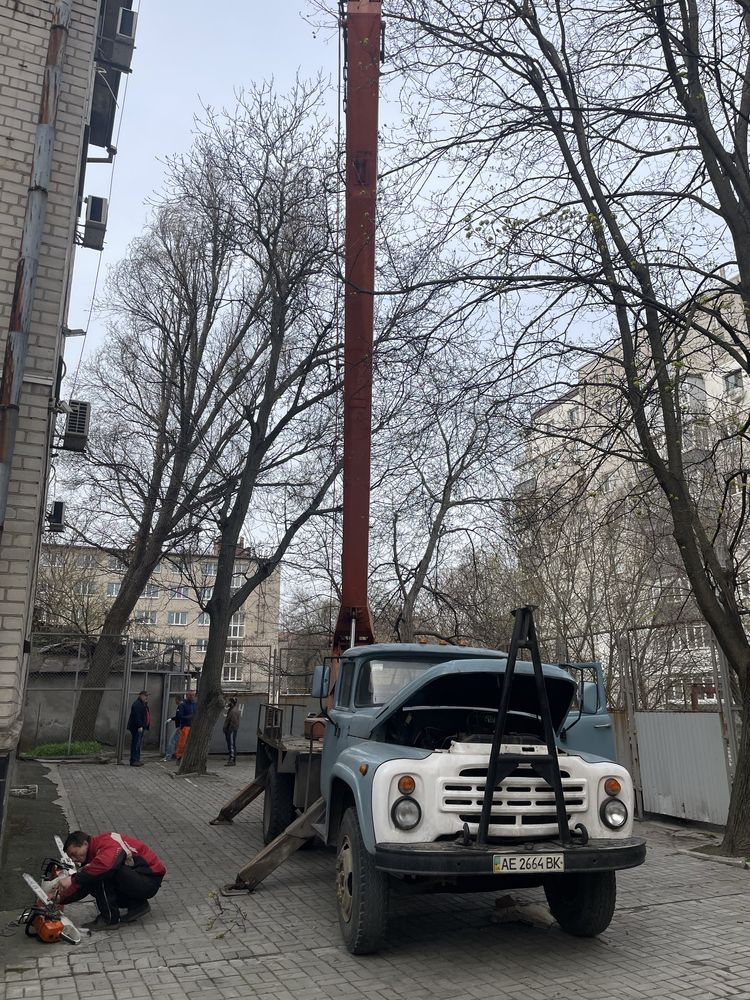 Спил деревьев любой сложности