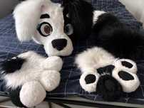 Furry Furrsuit head Frras
