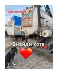 Відкачка ям, туалетів, автомийок,септиків. Асенізатор, Мулосос ВЫКАЧКА