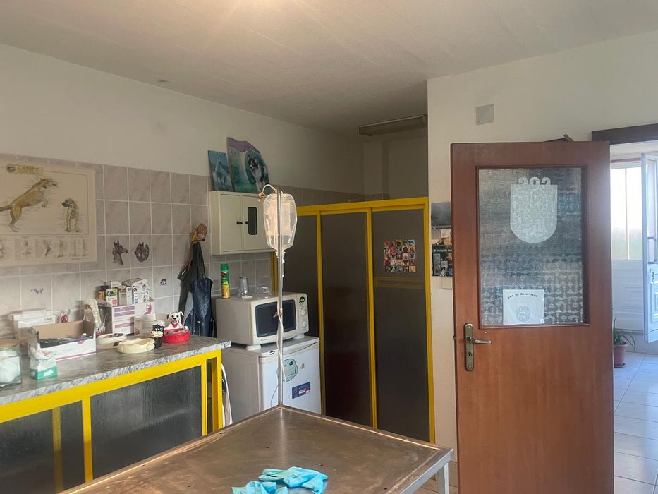 Clinica veterinária,  vendo