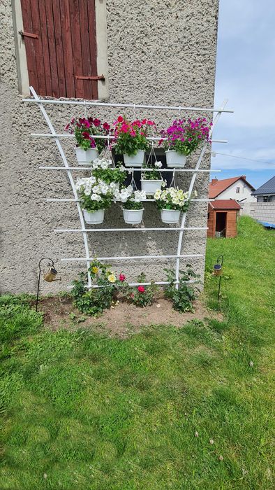 Solidne duże pergole na Twój wymiar! Róże pnące, drabinki, podpory