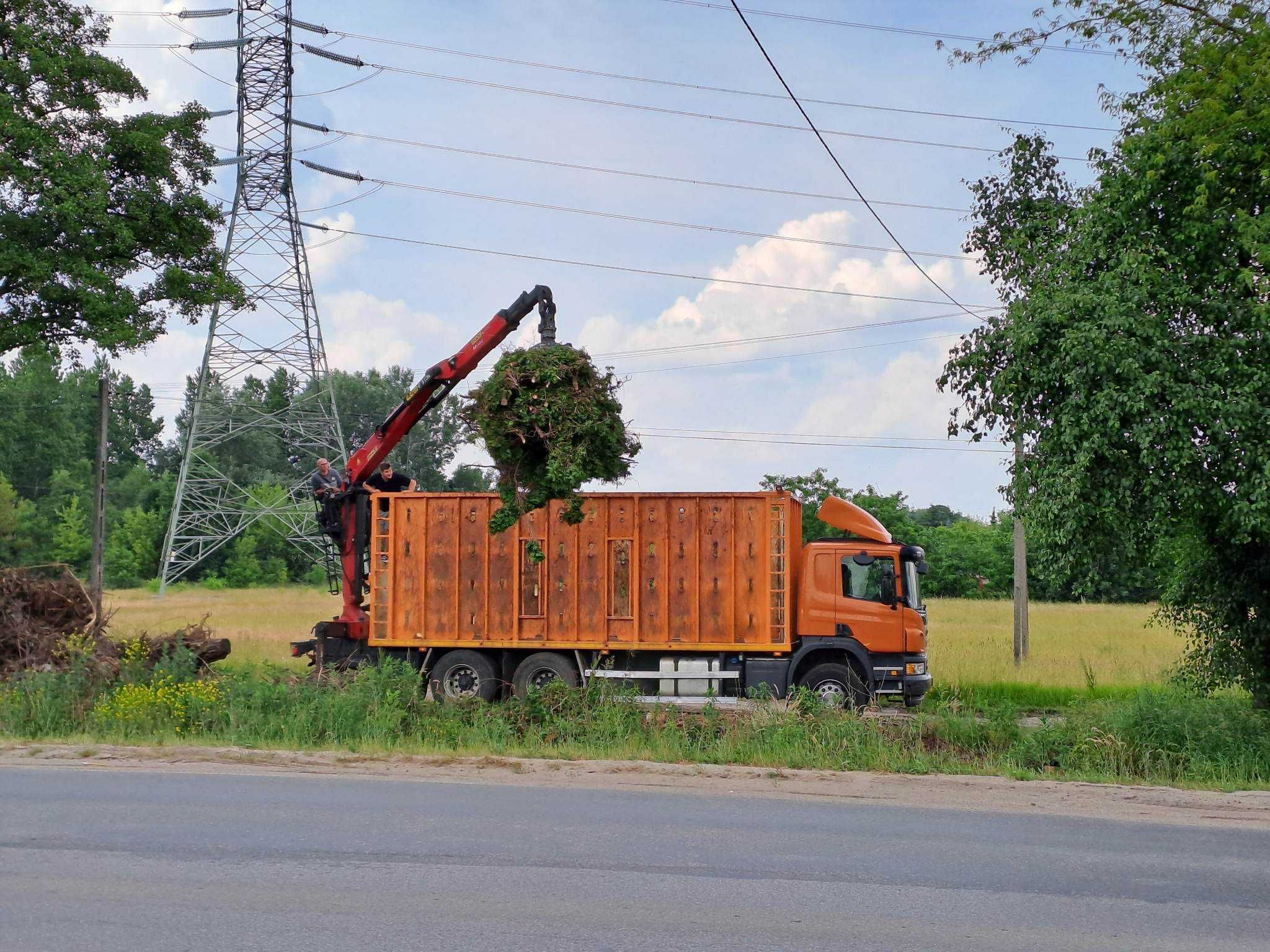 Wywóz gałęzi, wywóz odpadów zielonych, karp, tuji, drzew, trawy