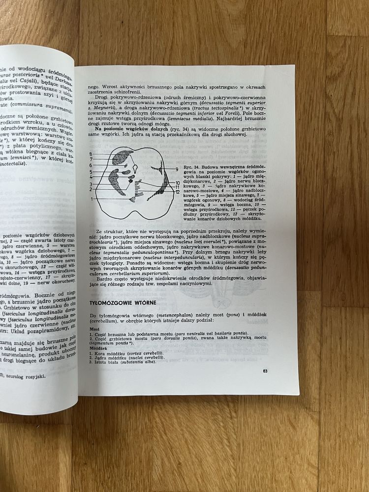 Anatomia czynnosciowa osrodkowego ukladu nerwowego golab