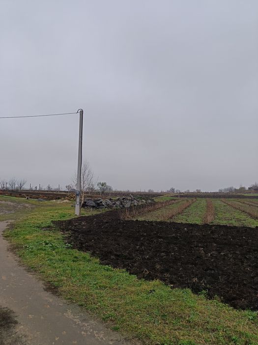 Земельна ділянка