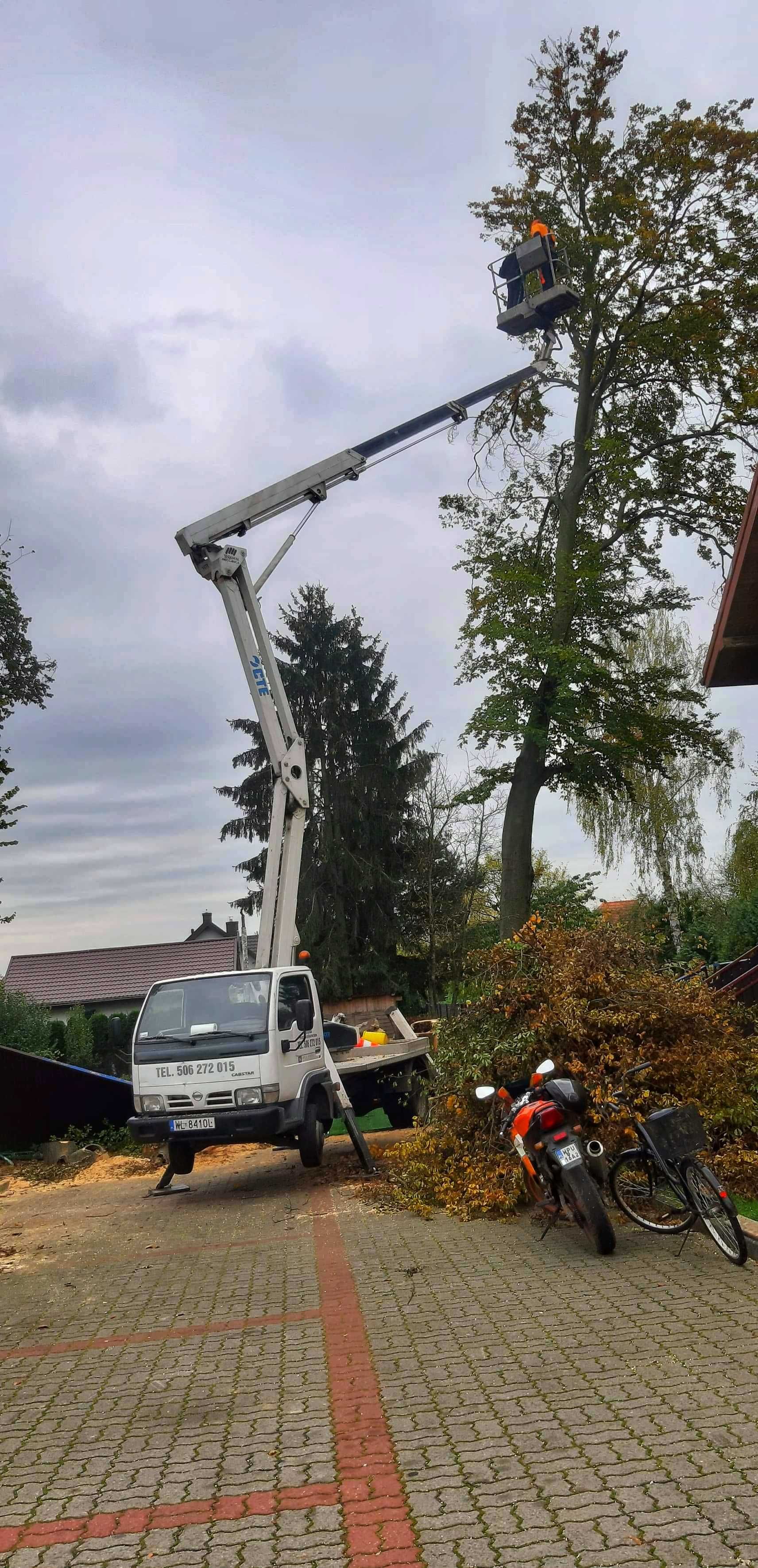 Wycinka drzew, wynajem rębaka, zrębkowanie gałęzi,usuwanie pni