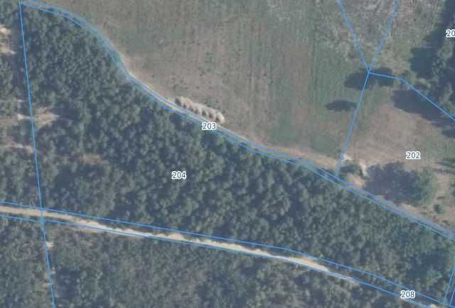 Sprzedam działkę leśną 16 ha