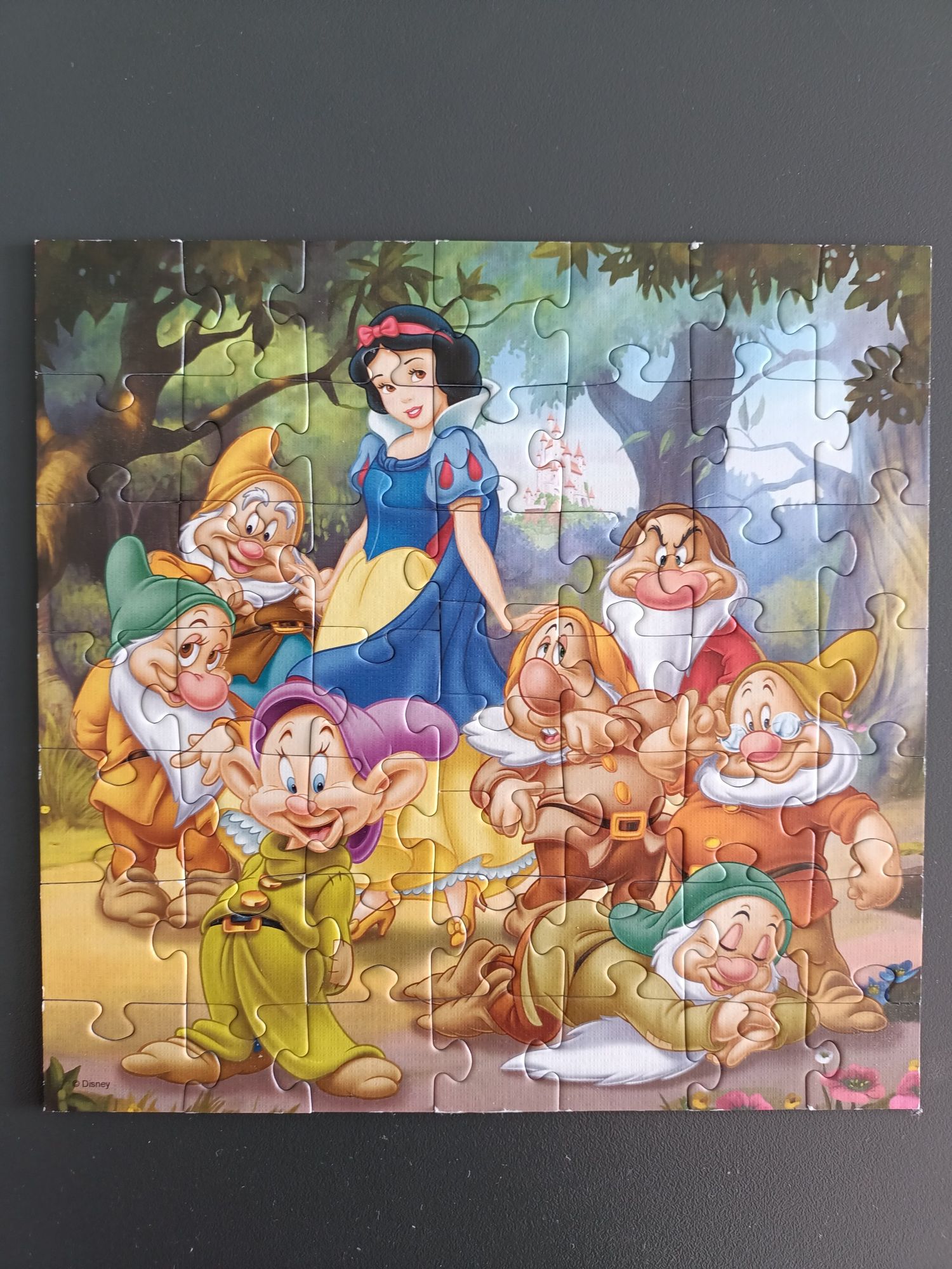Puzzle Disney księżniczki