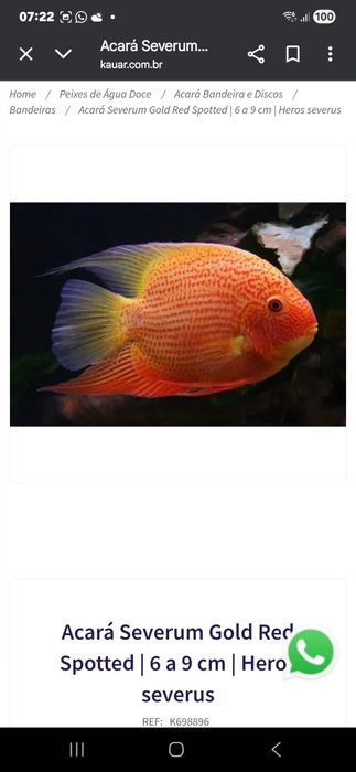 Severum red spot RESERVADO