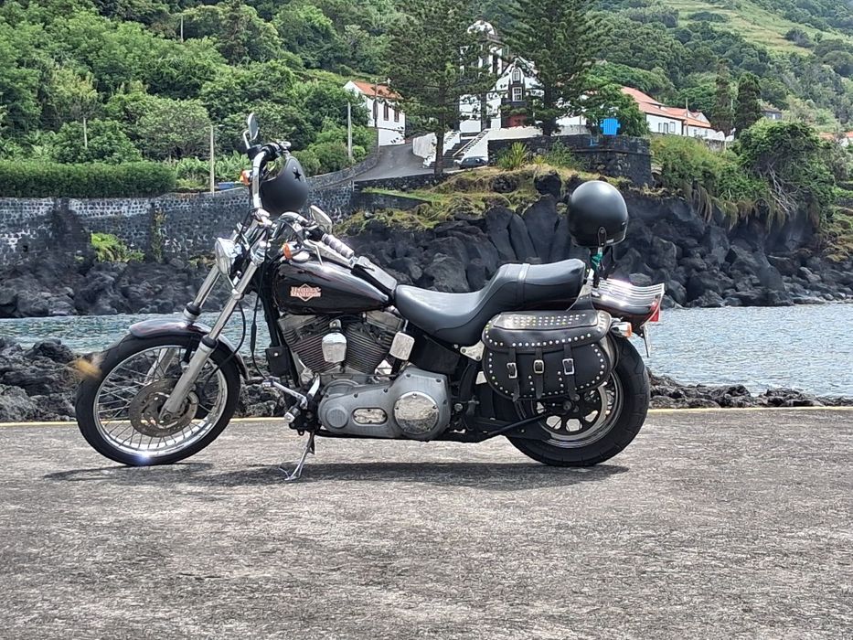 Harley Davidson softail