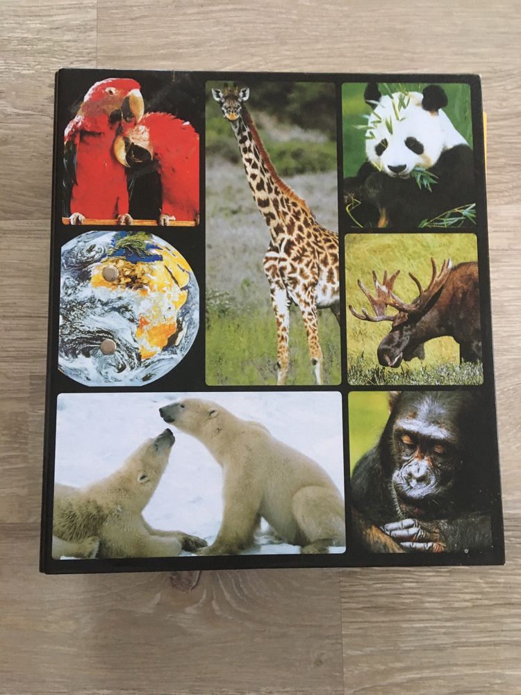 Книга энциклопедия папка все о мире животных