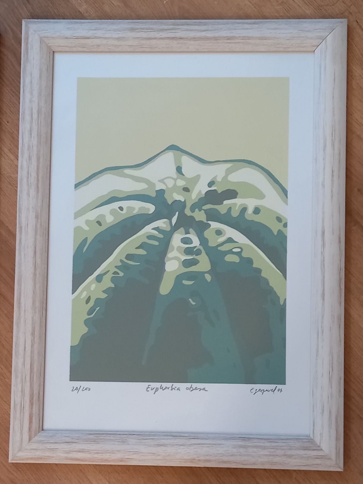 Conjunto de  quadros Serigrafias