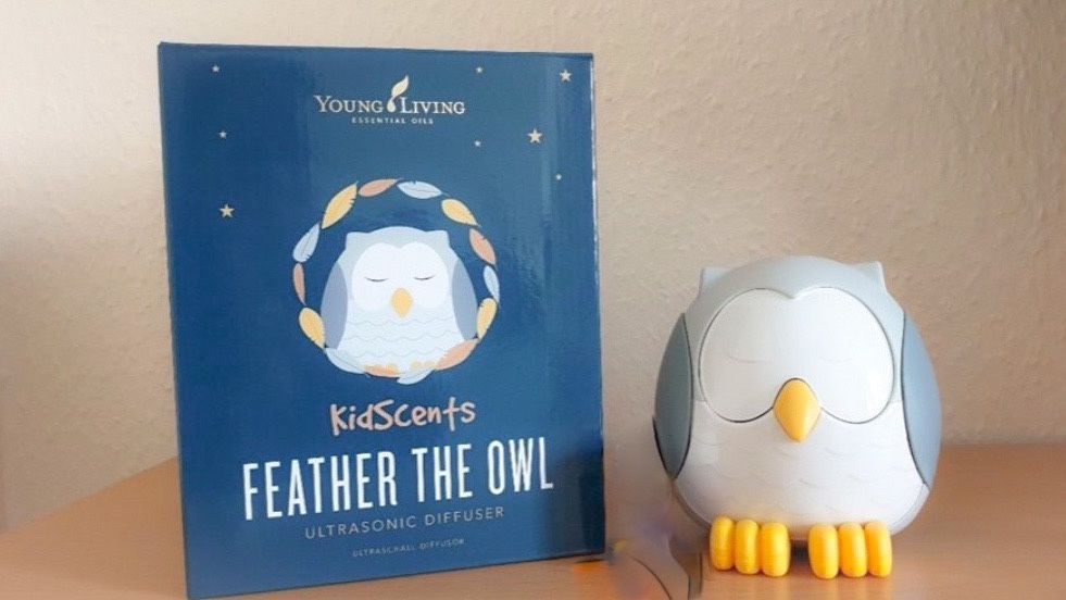 Difusor Coruja desinfeta oleo essencial Mocho Owl young living