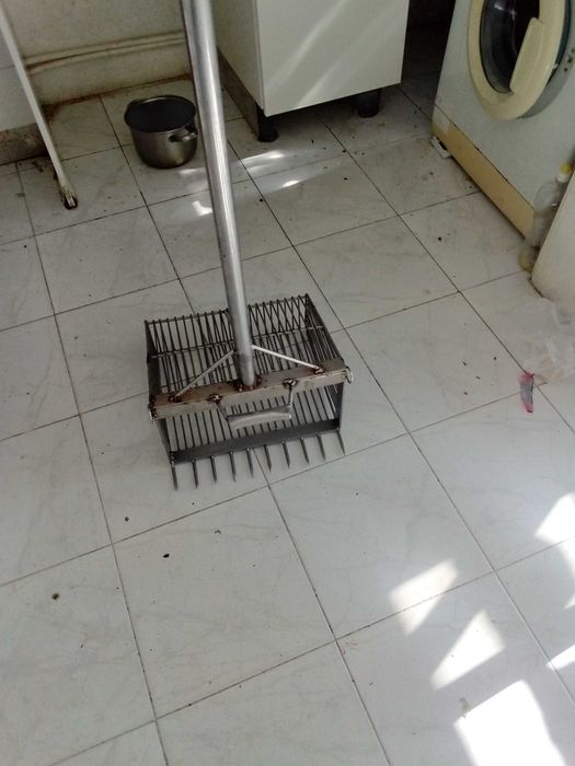 Gachourra arrasto manual pesca bivalves amêijo é Inox vender rápido