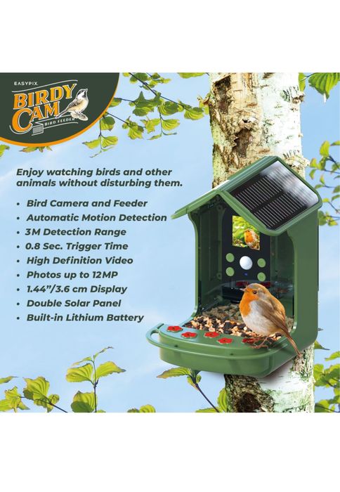 Comedouro para pássaros com câmera e painel solar