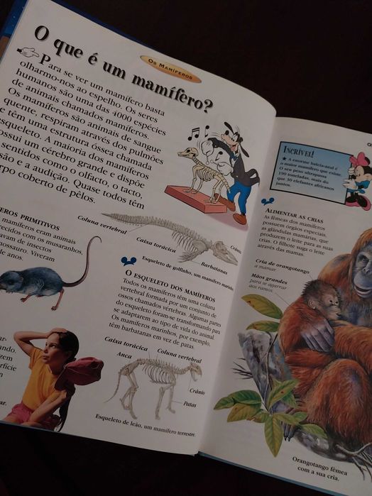 O Maravilhoso Mundo do Conhecimento, Os Mamíferos, Disney