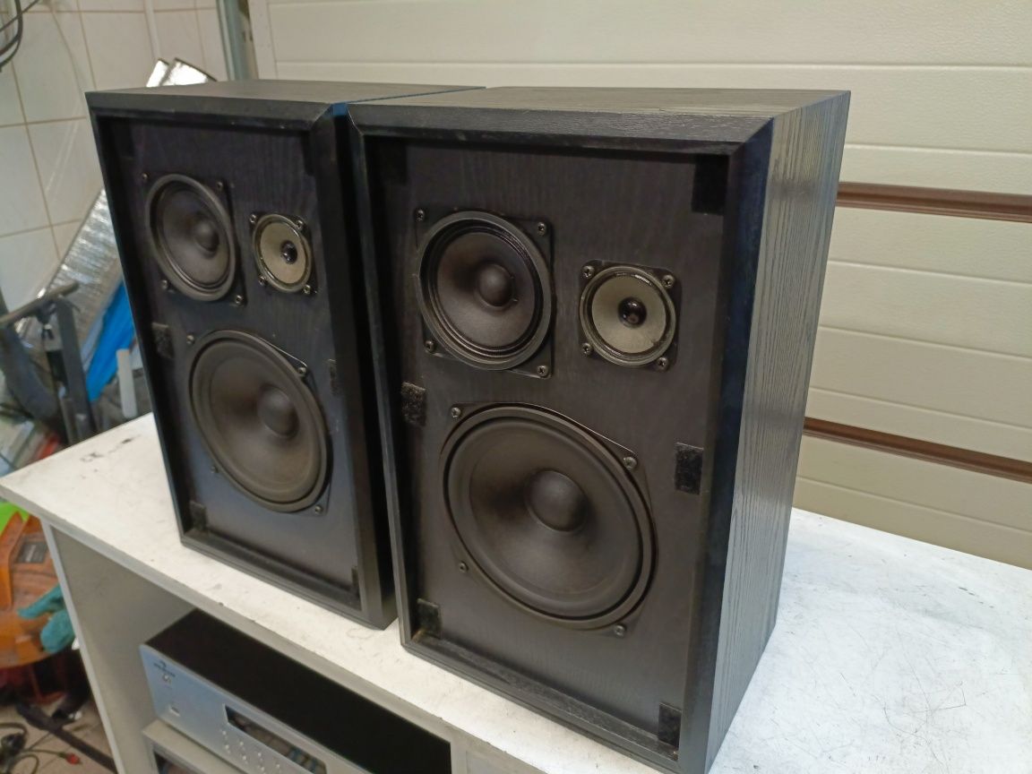Kolumny DUAL CL 9010 80 wat