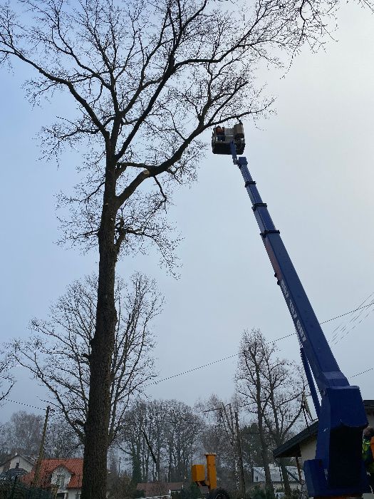 Pielęgnacja,wycinka trudnych drzew,lasów, formowanie koron,rębak