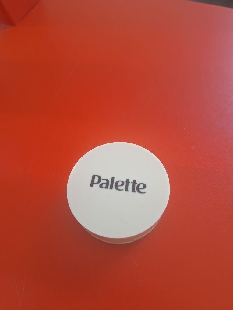 Kompaktowy korektor do retuszu odrostów palette.