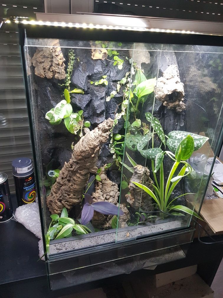 Terrarium 40x40x60 gekon