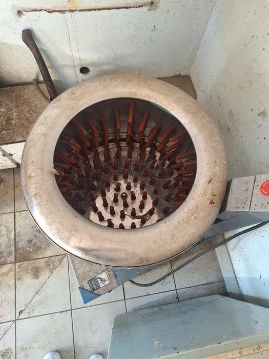 Skubarka do drobiu (na siłę)