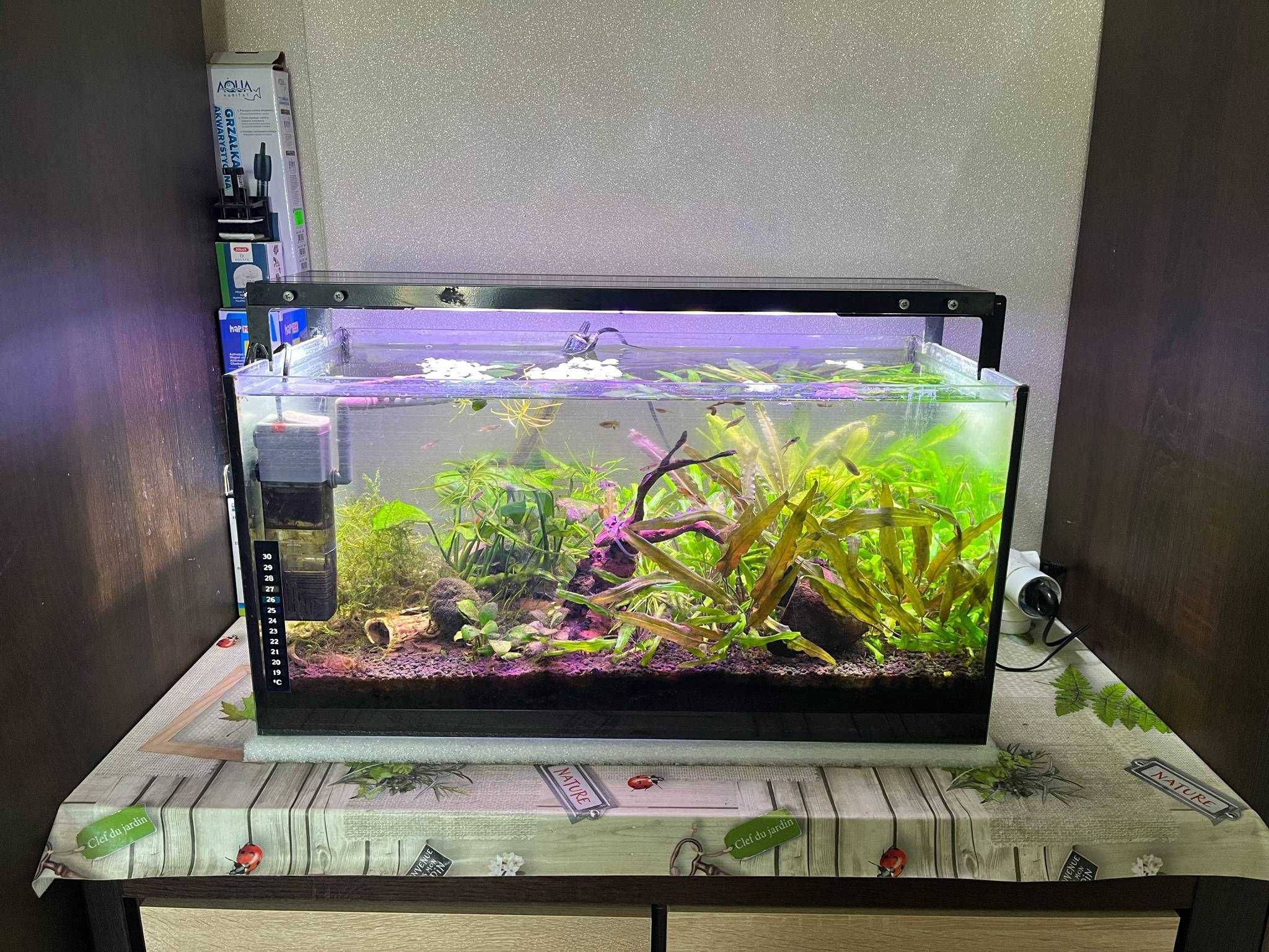Akwarium 54l z życiem i osprzętem + 10l z osprzętem