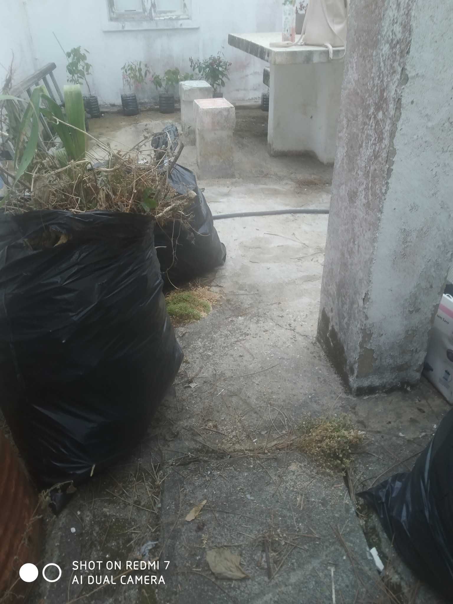 Dedicada e com brio no meu trabalho