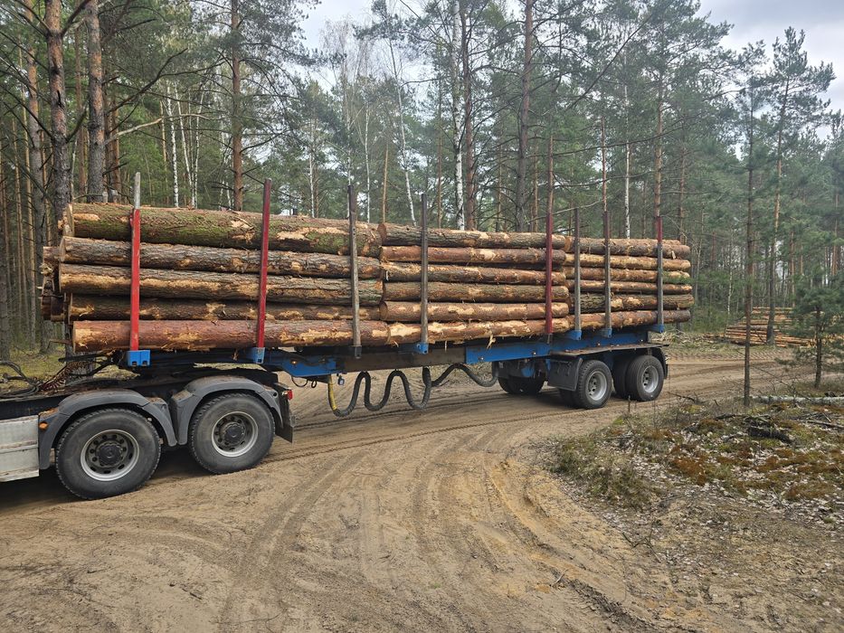 Naczepa DOLL LOGO 21 do drewna drzewa lasu