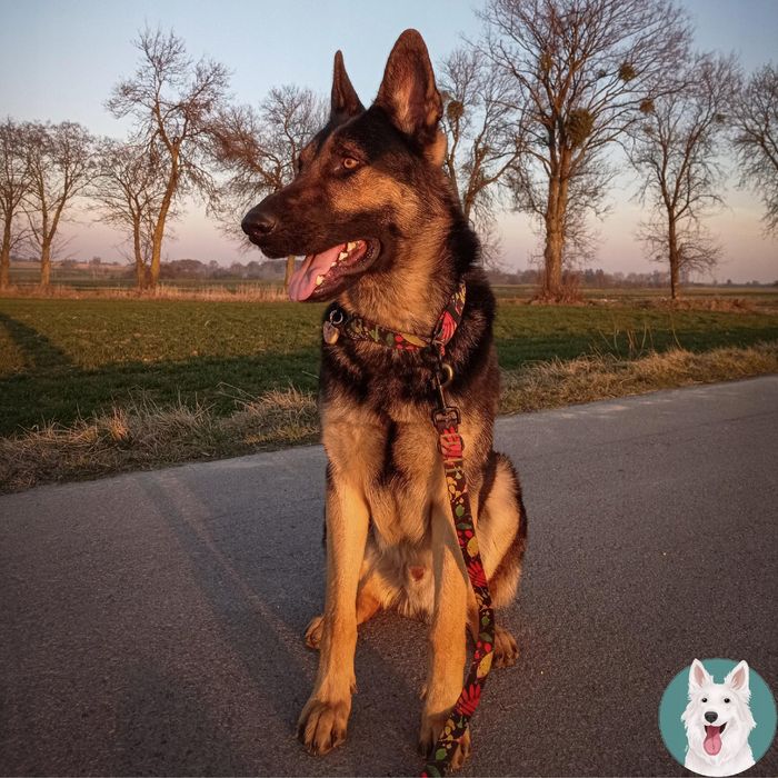 mata ochronna do klatki wybiegu boksu dla psów szczeniaków 92x47 cm