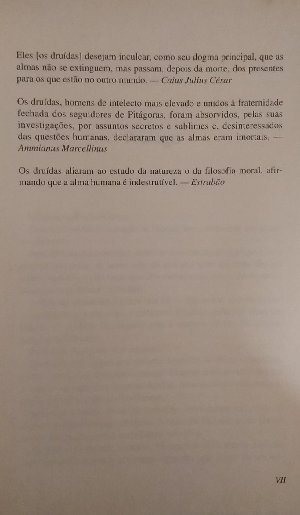 Druídas, Morgan Llywelyn