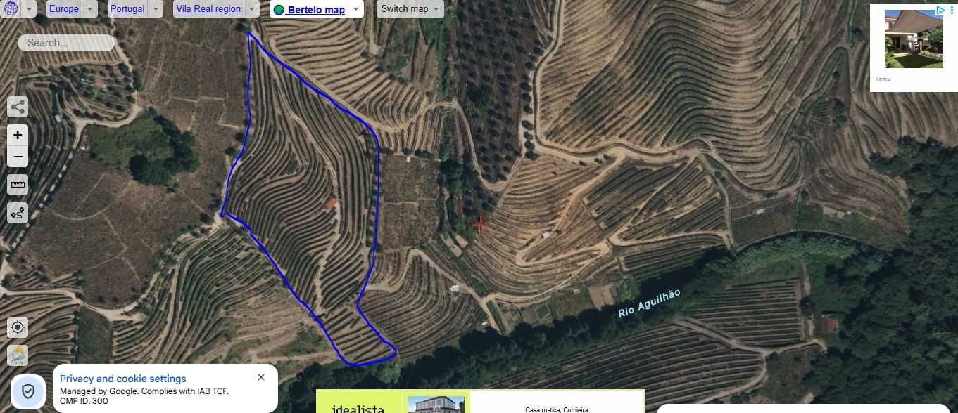 Vinha no Douro Vinhateiro - Bertêlo