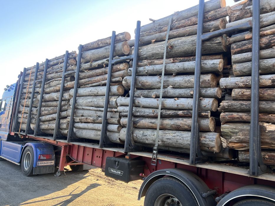 Продам дрова різних порід