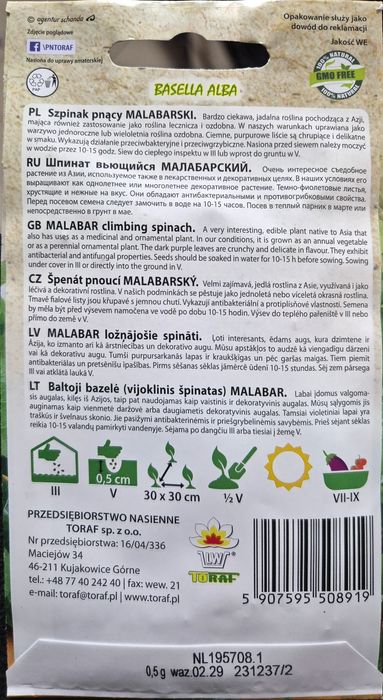 Szpinak Malabarski pnący nasiona