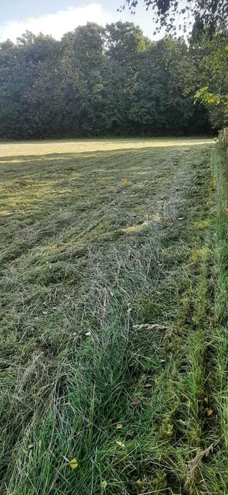 Działki budowlane JANCZOWICE / JAŹWINA / DZIERŻONIÓW piękny widok LAS