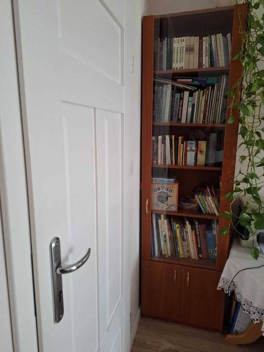 Witryna, biblioteczka,