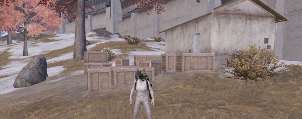 Дешеві і якісні супроводи.