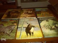 Livros