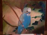 картина маслом попугай на полотне р 40 на50