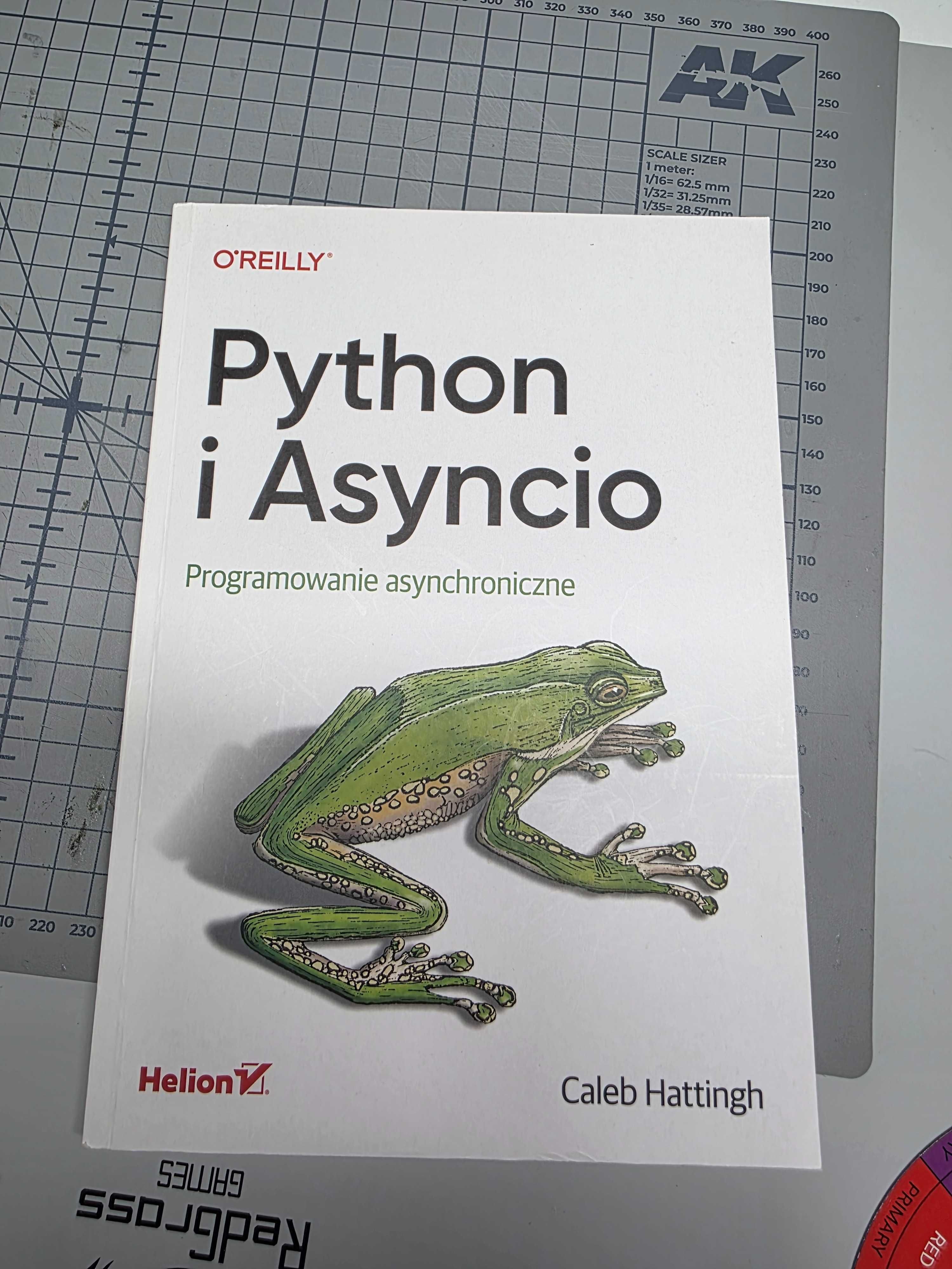 Python i Asyncio. Programowanie asynchroniczne