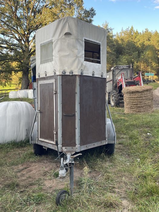 Przyczepa dla 1 konia w dobrym stanie sprowadzona