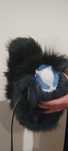 Fursuit ogon husky hq