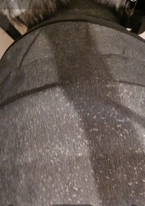 Каляска продам Adamex Amelia Lux