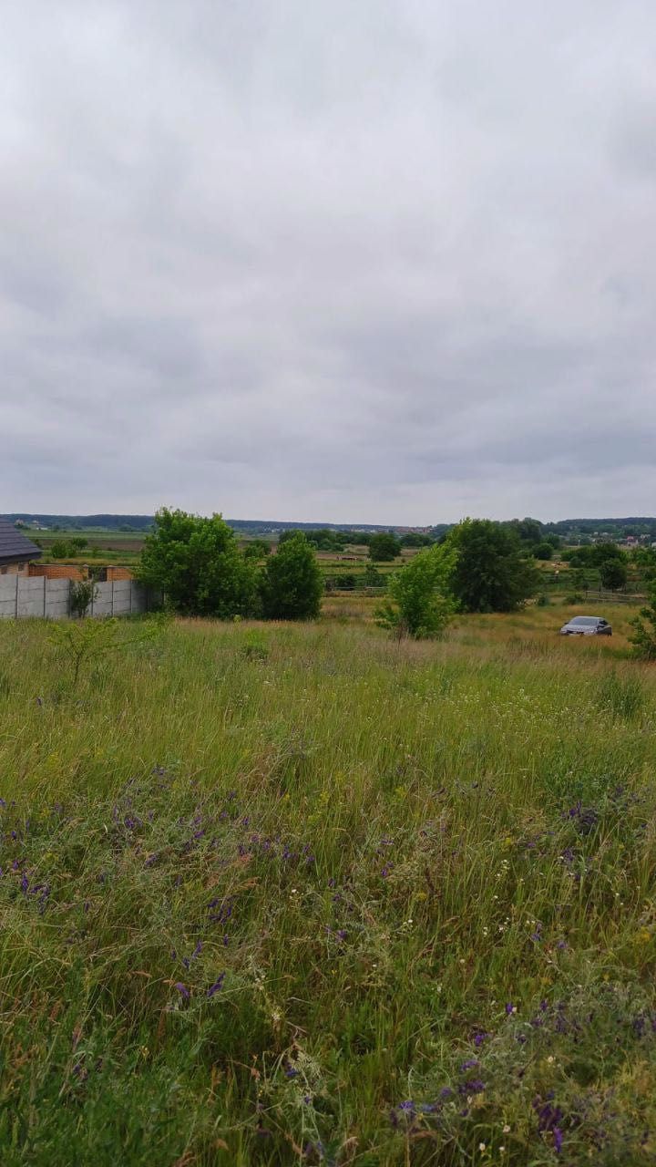 Унікальна пропозиція. Лука. Краєвиди. Річка.