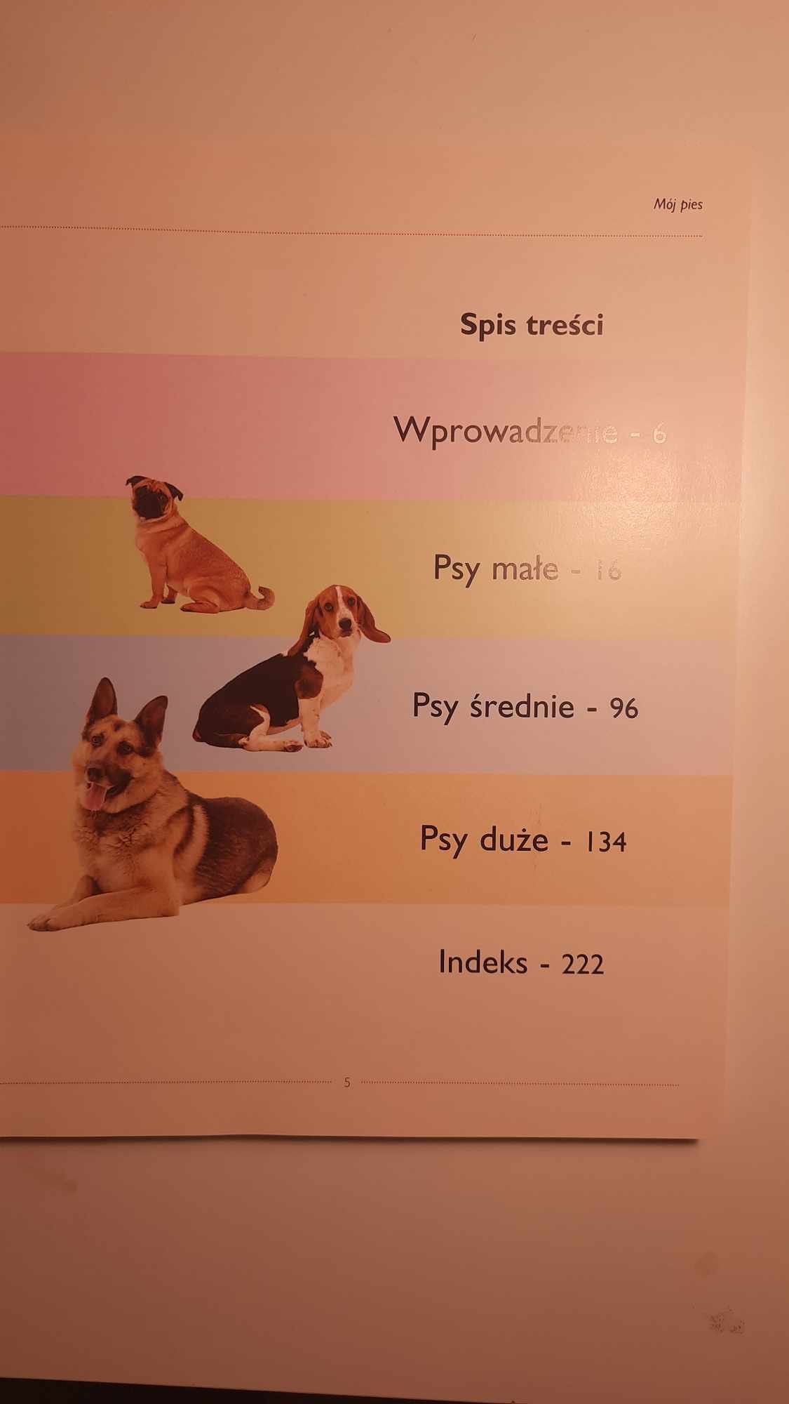 Mój pies Amanda O'Neill - okładka twarda, przewodnik po rasach psów