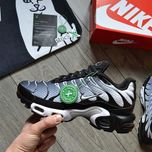 Мужские кроссовки Nike Air Max Plus Tn 'Black\Silver\White' 40-45