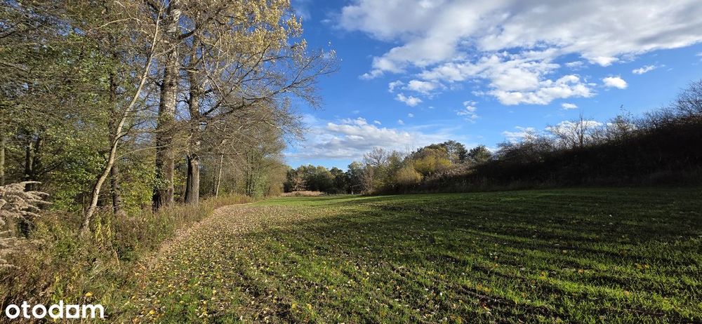 Malownicza działka rekreacyjna w Dłubniańskim Parku Krajobrazowym