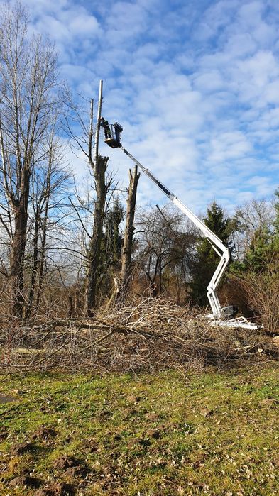 Wycinka drzew przycinka usługi ogrodnicze ogrodnik