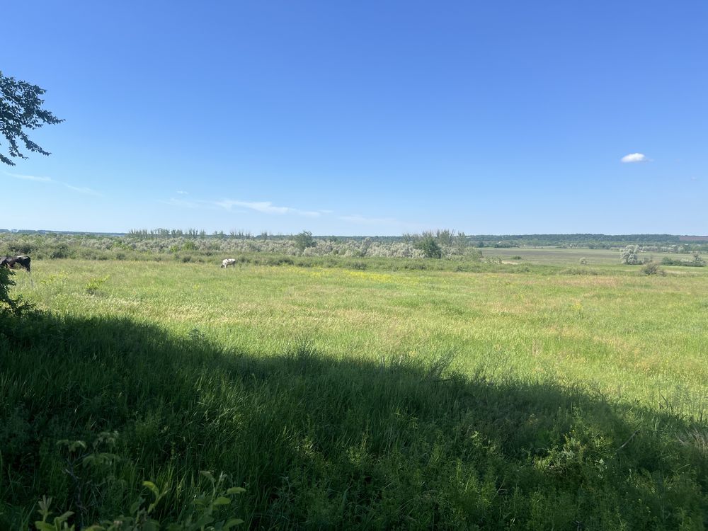 Участок, свой берег реки.